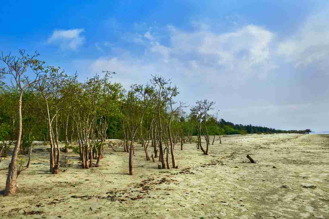 bakkhali beach