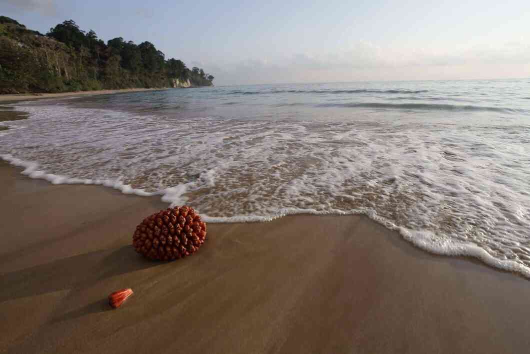 baludera beach andaman