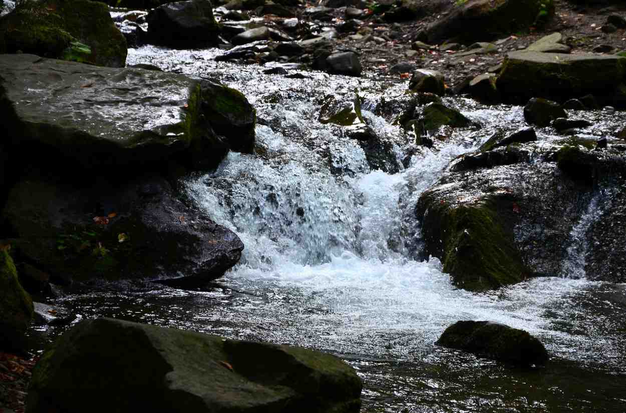 bandaje arbi falls belthangady