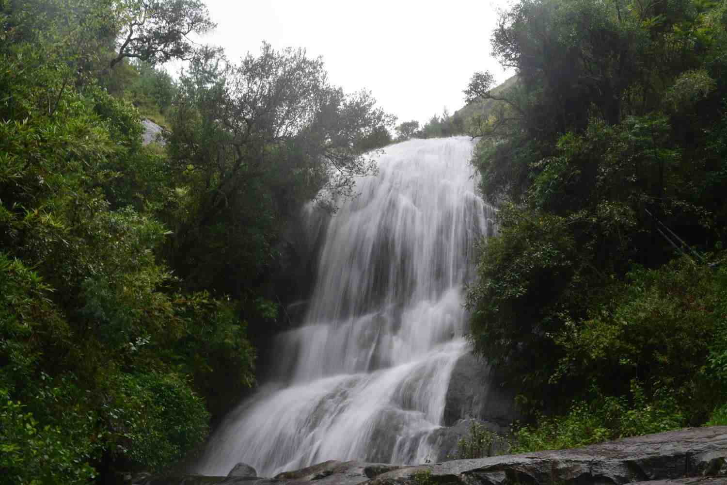 bear shola falls