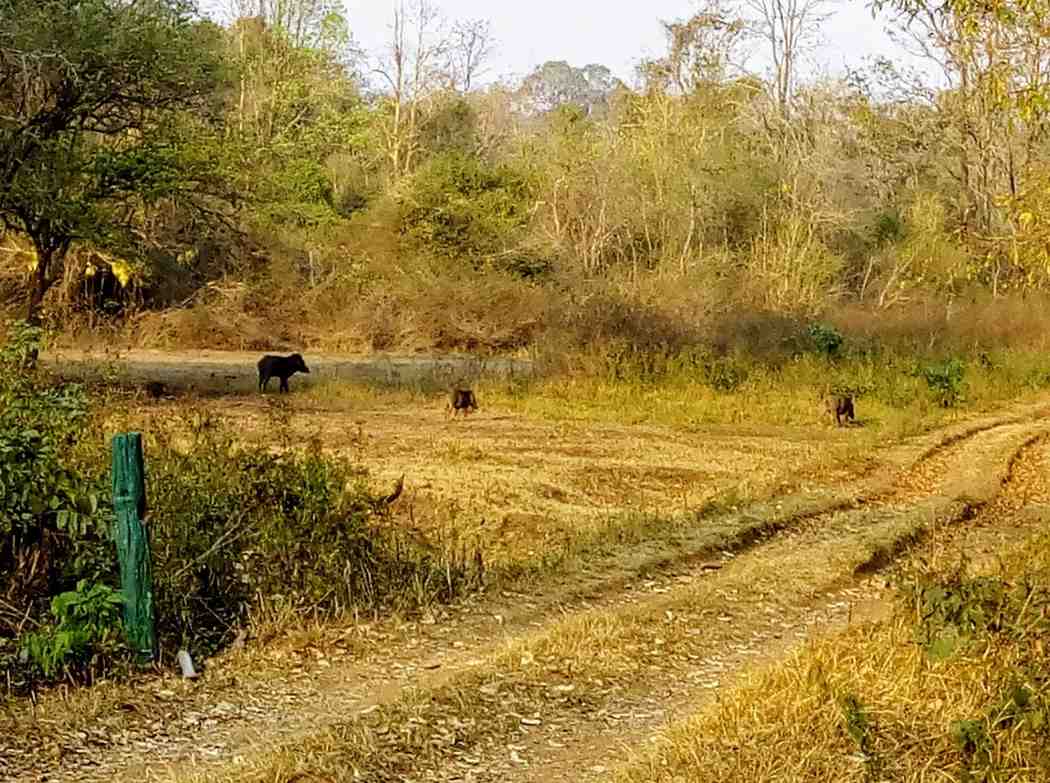 begur wildlife sanctuary