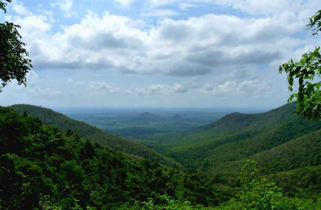 biligiri rangana hills