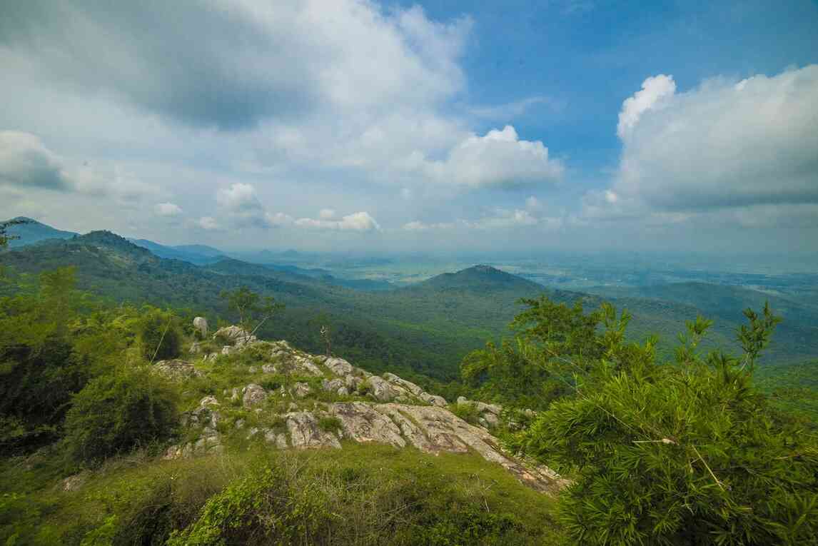 biligiriranga hills