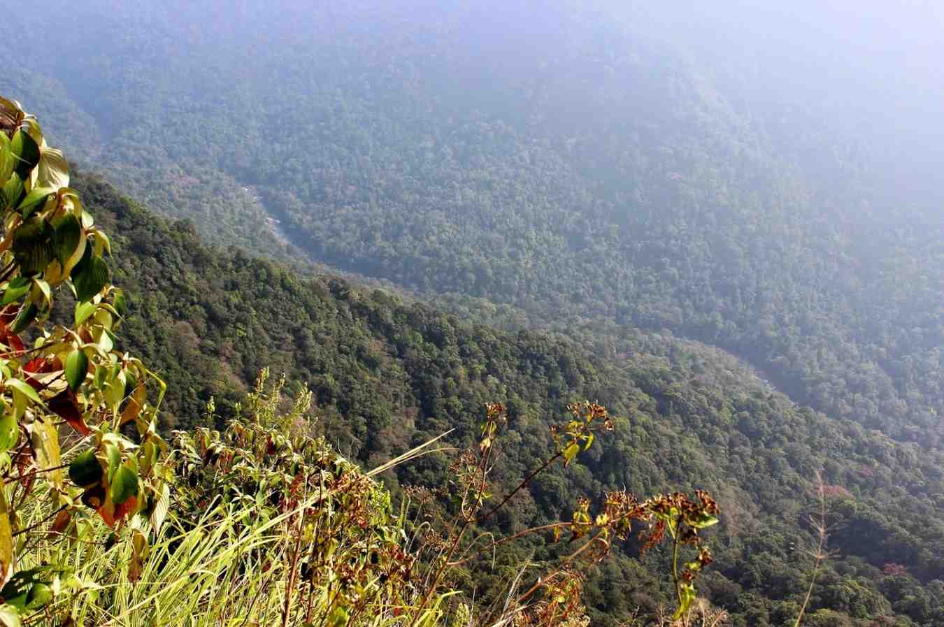 brahmagiri wildlife sanctuary