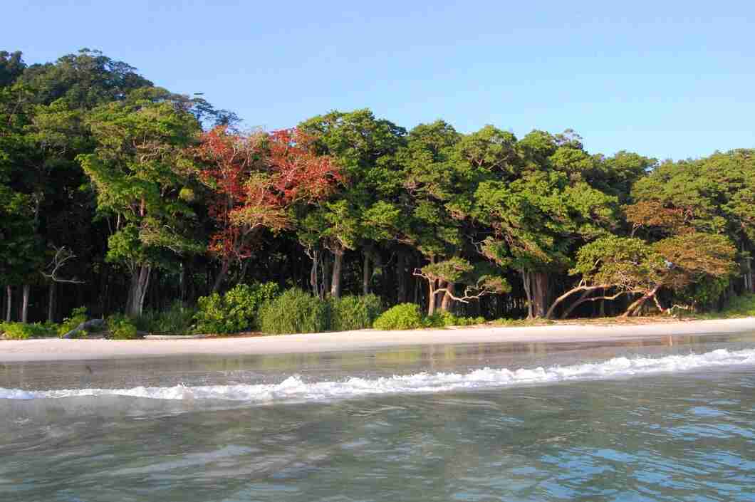 butler bay beach