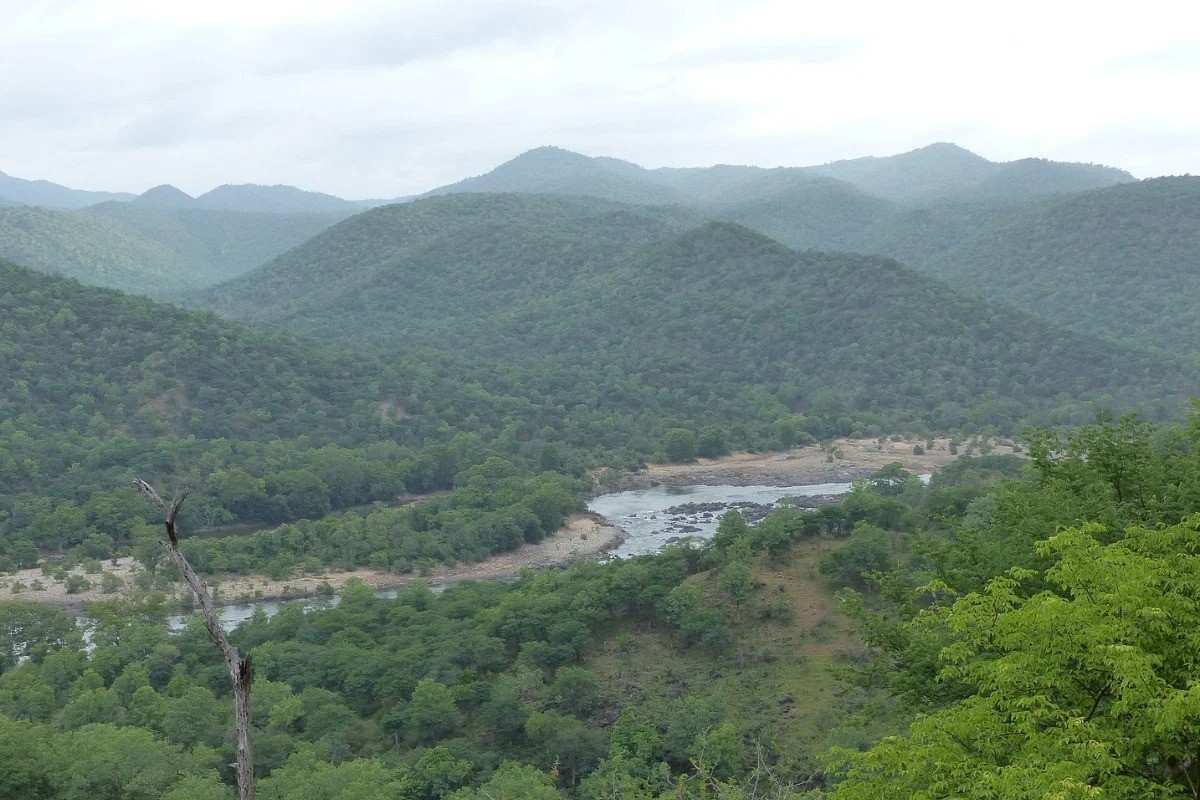 cauvery wildlife sanctuary