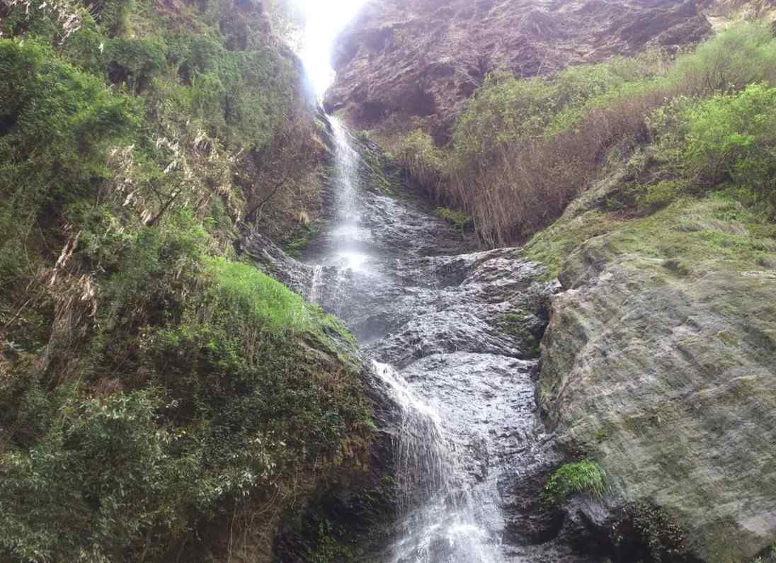 chadwick falls shimla