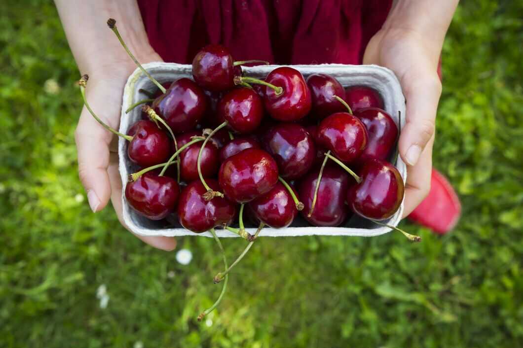10 Benefits Of Cherries For Hair Growth And How To Use It