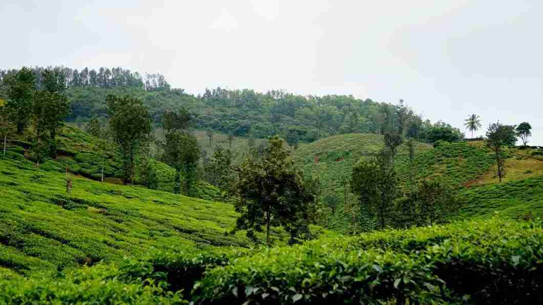 chikmangalore hills chennai