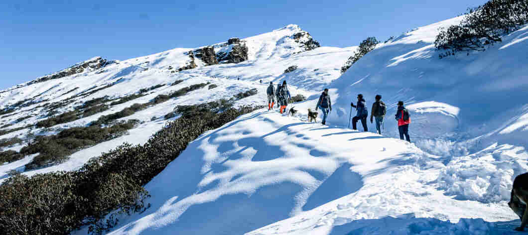 chopta in jaipur