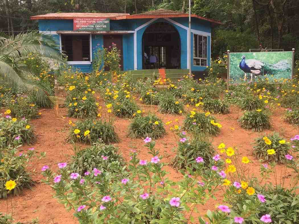 chulanur peafowl sanctuary