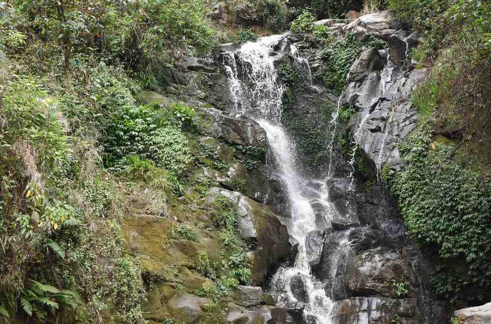 chunnu waterfalls rock garden road bloomfield tea garden