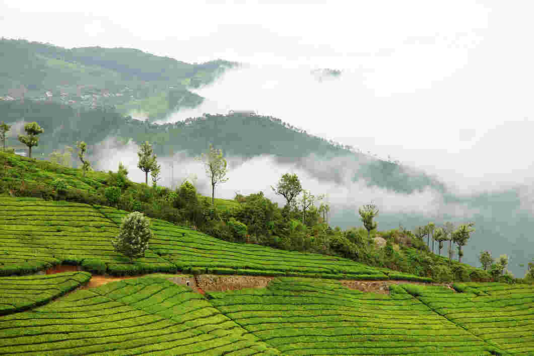 coonoor hills chennai