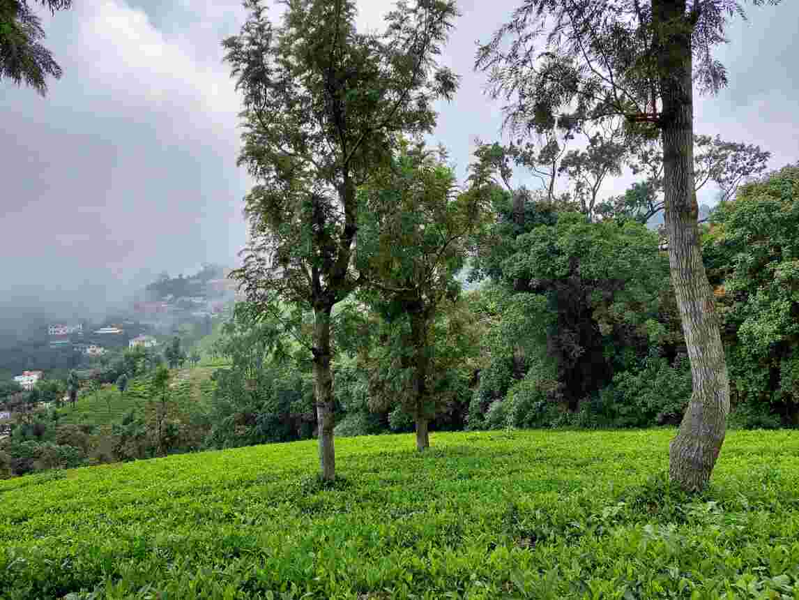 coonoor image