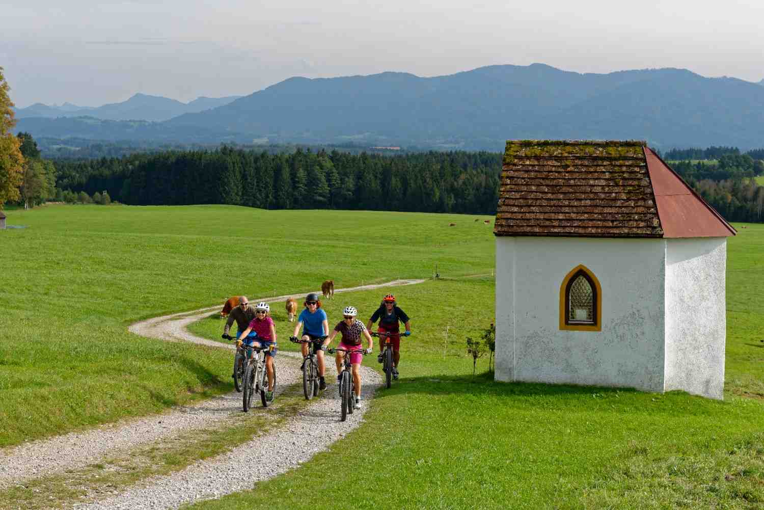 cycling tours germany