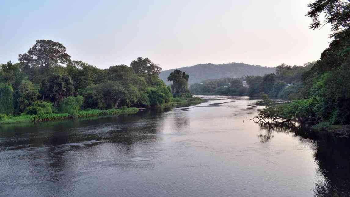 dandeli image