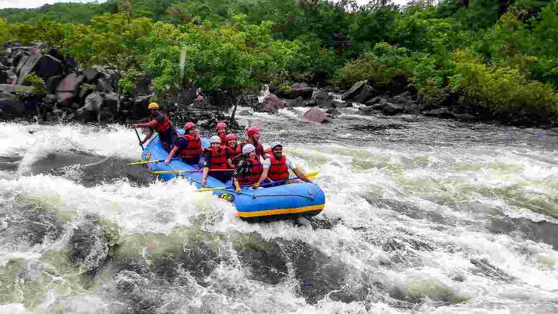 dandeli image