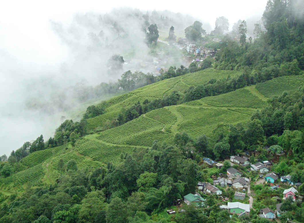 darjeeling in monsoon