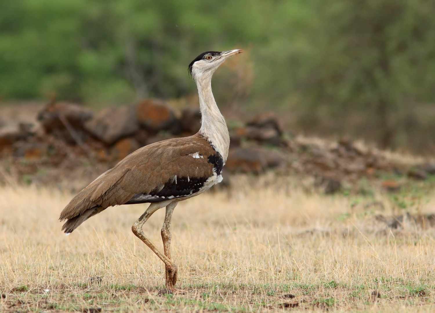 desert national sanctuary