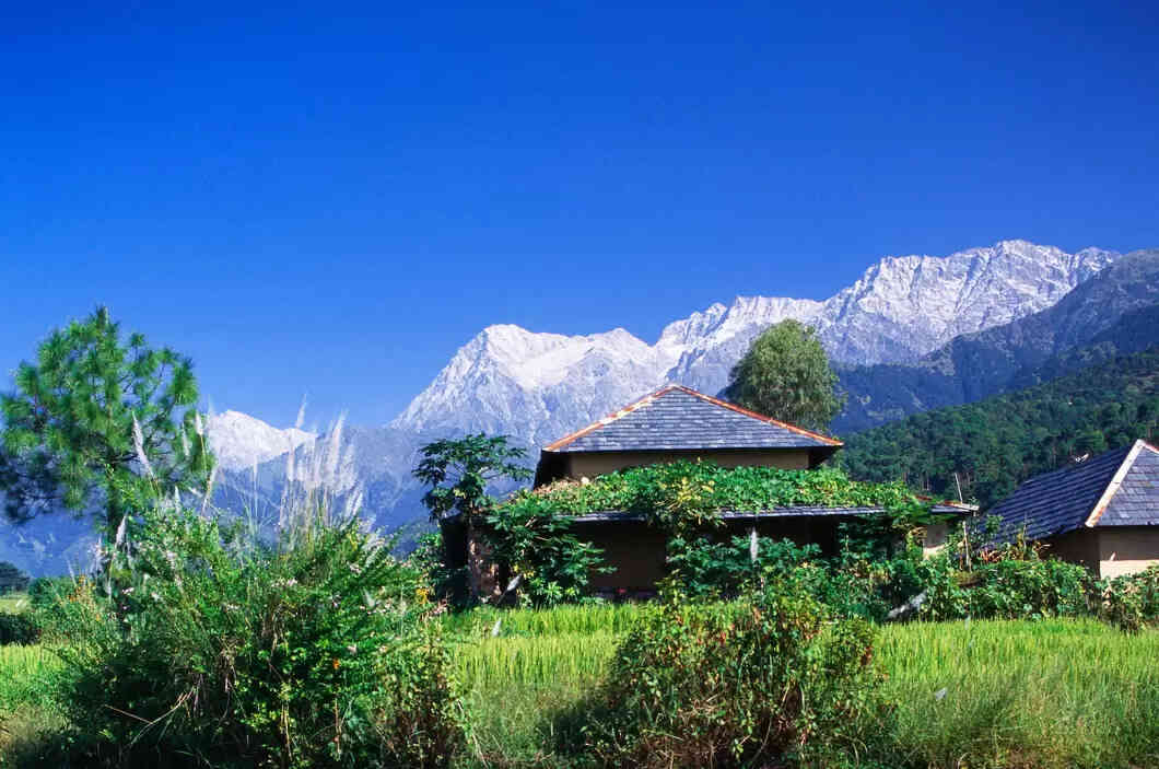 dharamshala summer