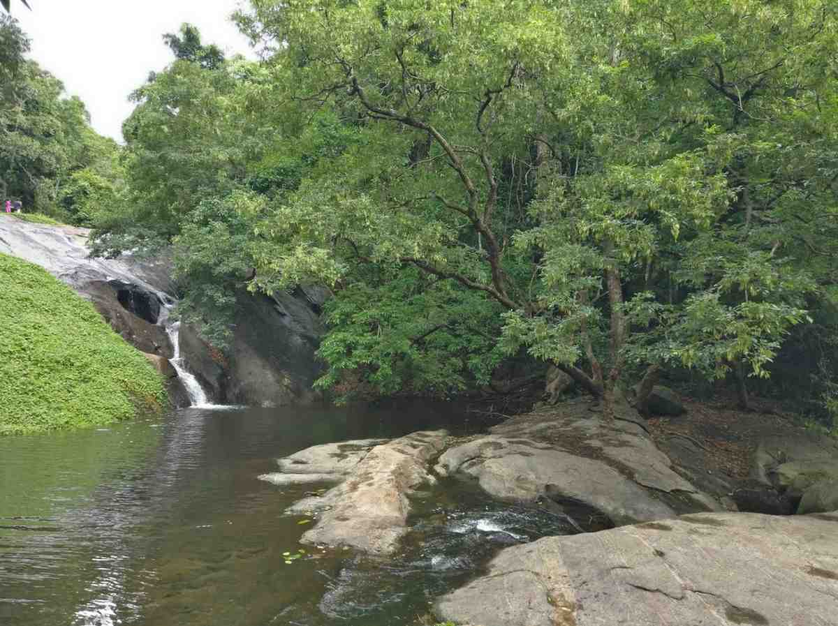 dhoni waterfall palakkad