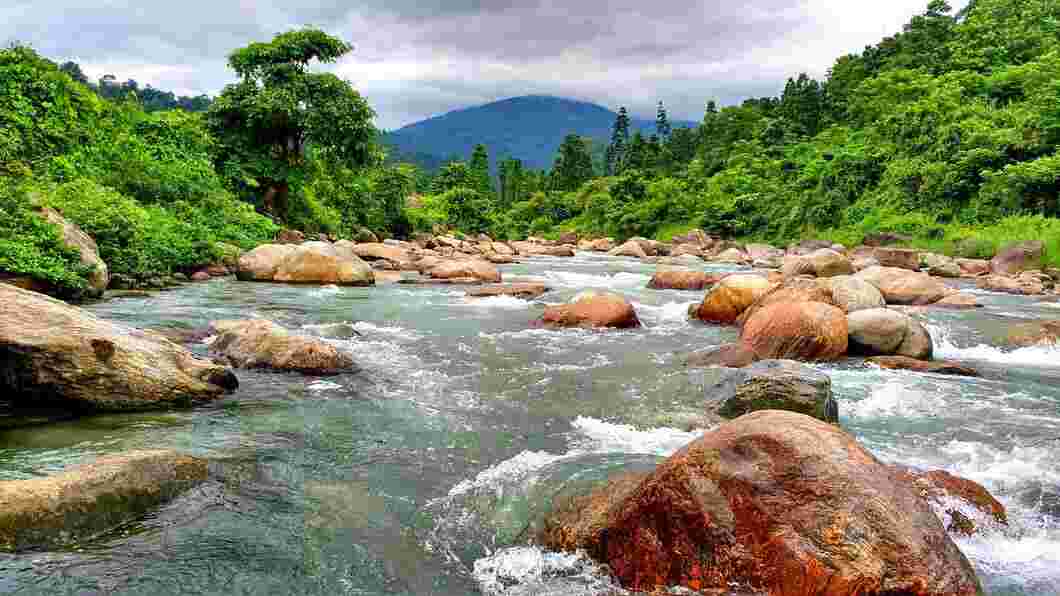 dooars vally kolkata