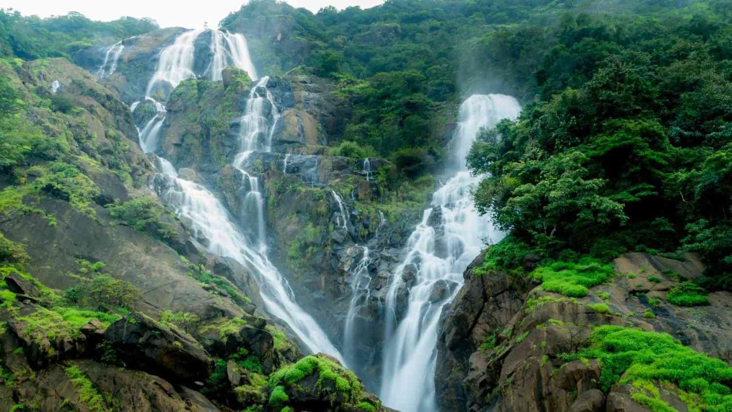 dudhsagar falls goa