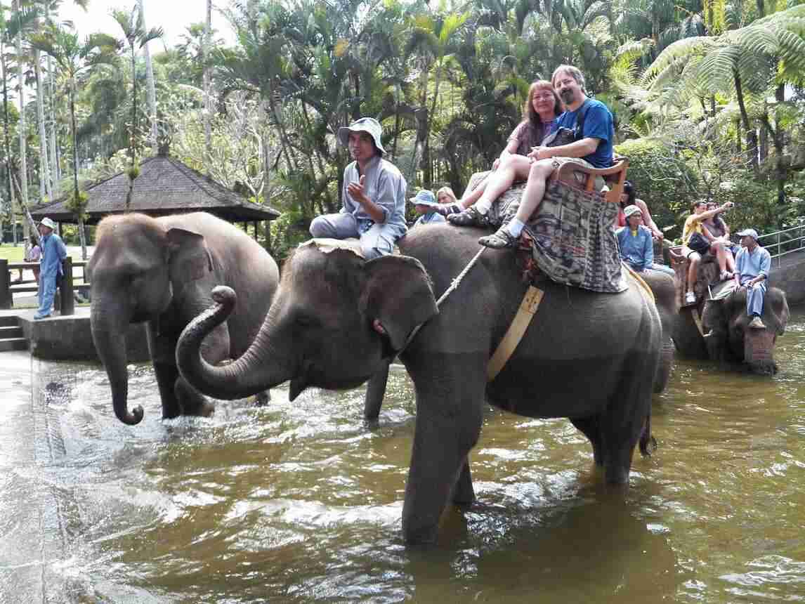 elephant safari park