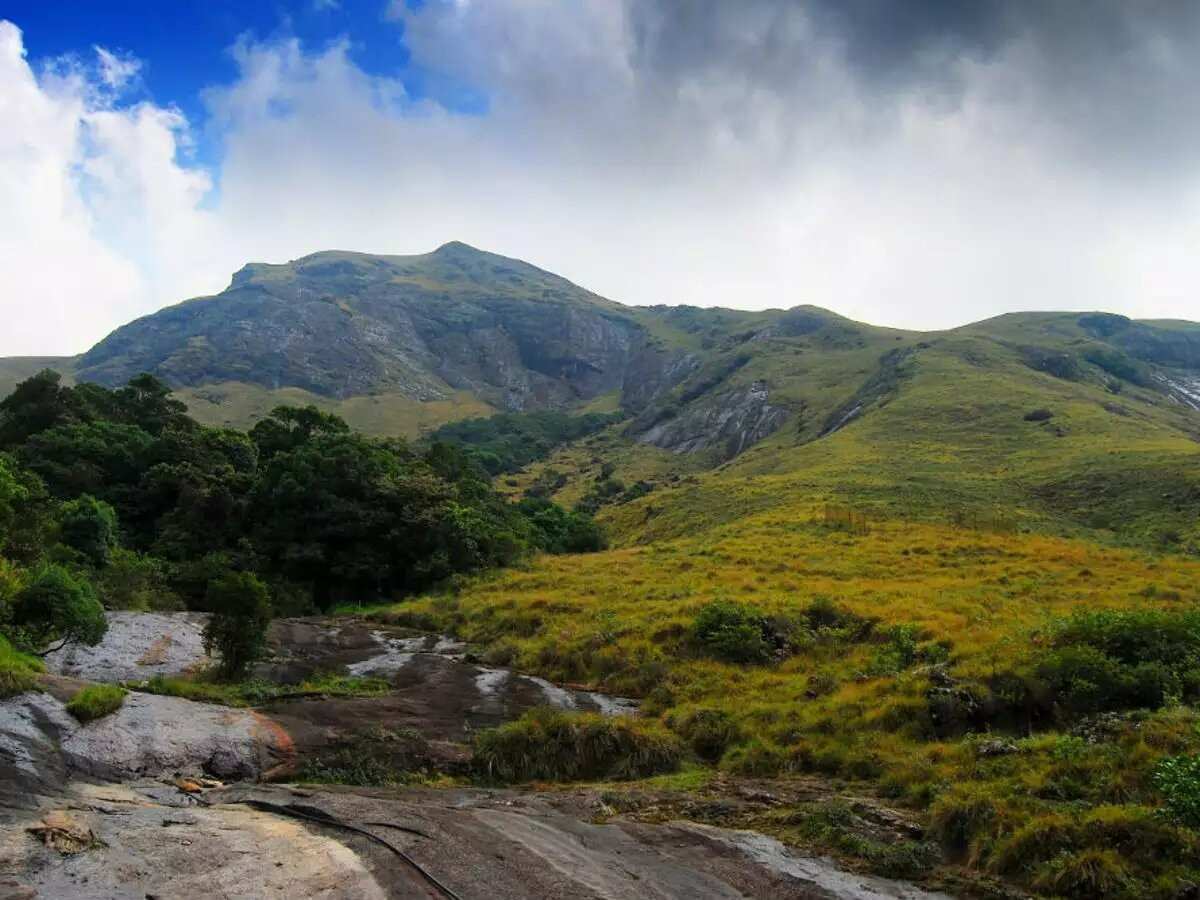 eravikulam national park