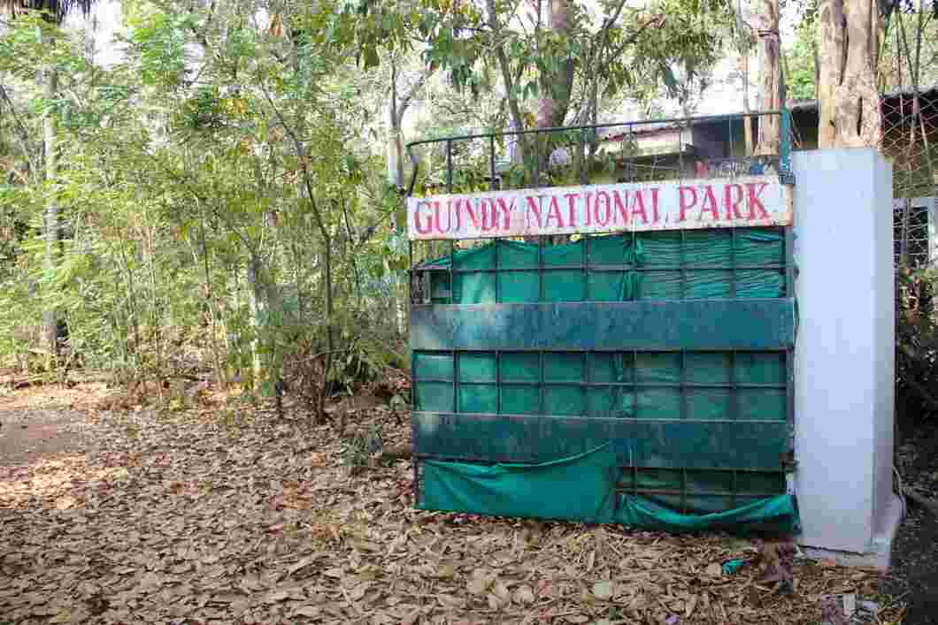 guindy national park