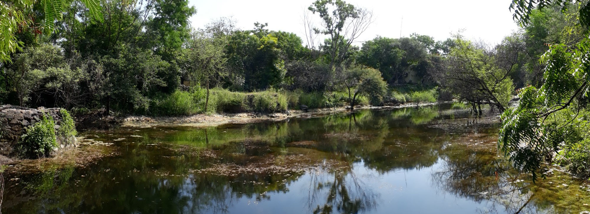 hingolgadh sanctuary