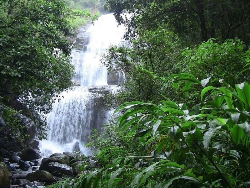 honey valley nilakandi falls yevakapadi