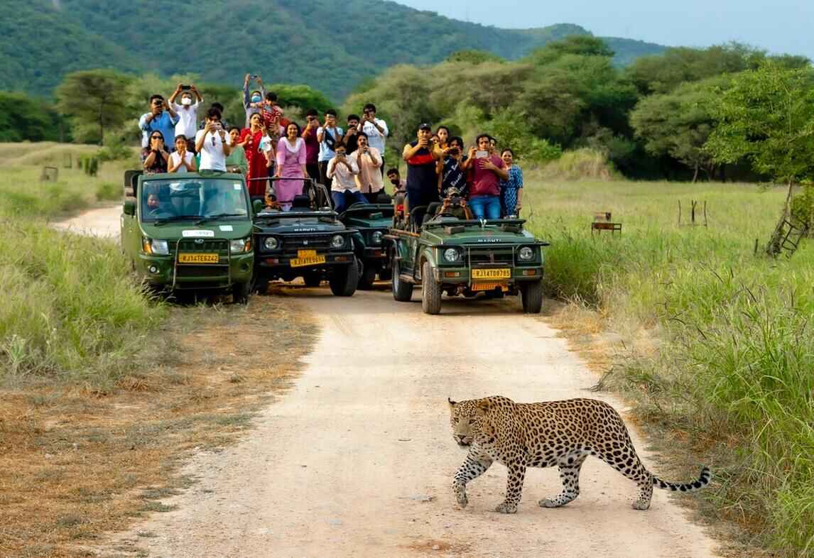 jhalana leopard safari park