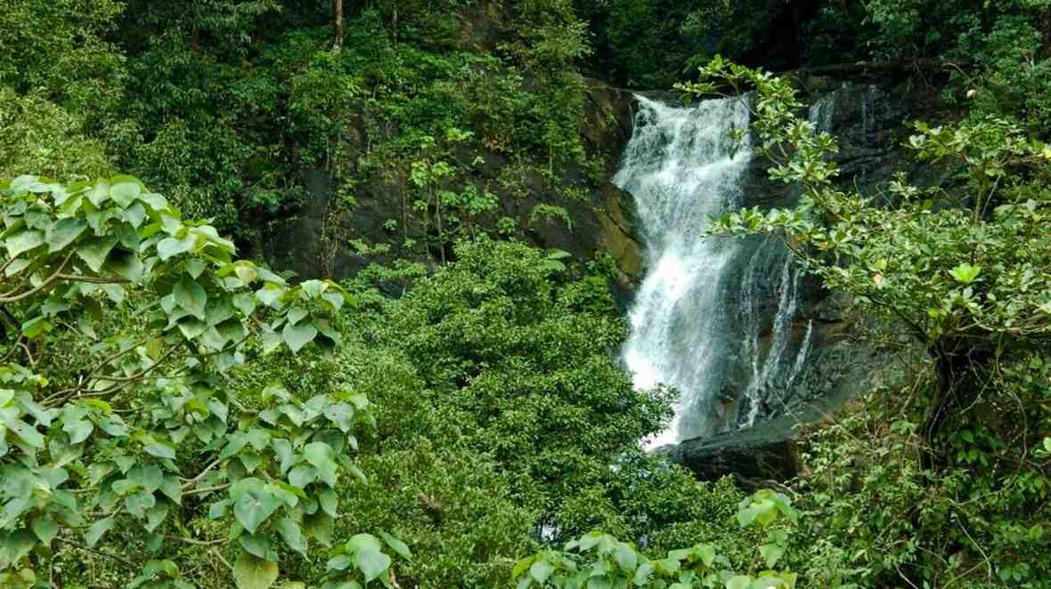 kadambi falls  chikmagalur 