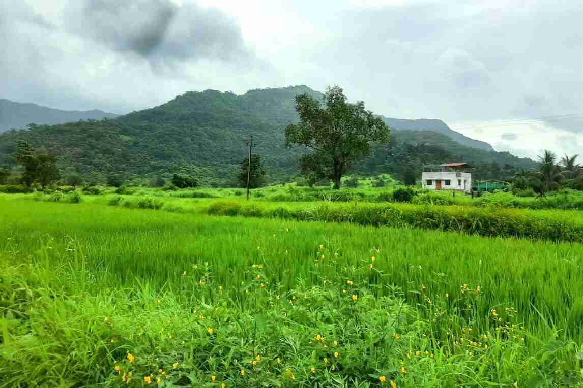 karjat landscapes image