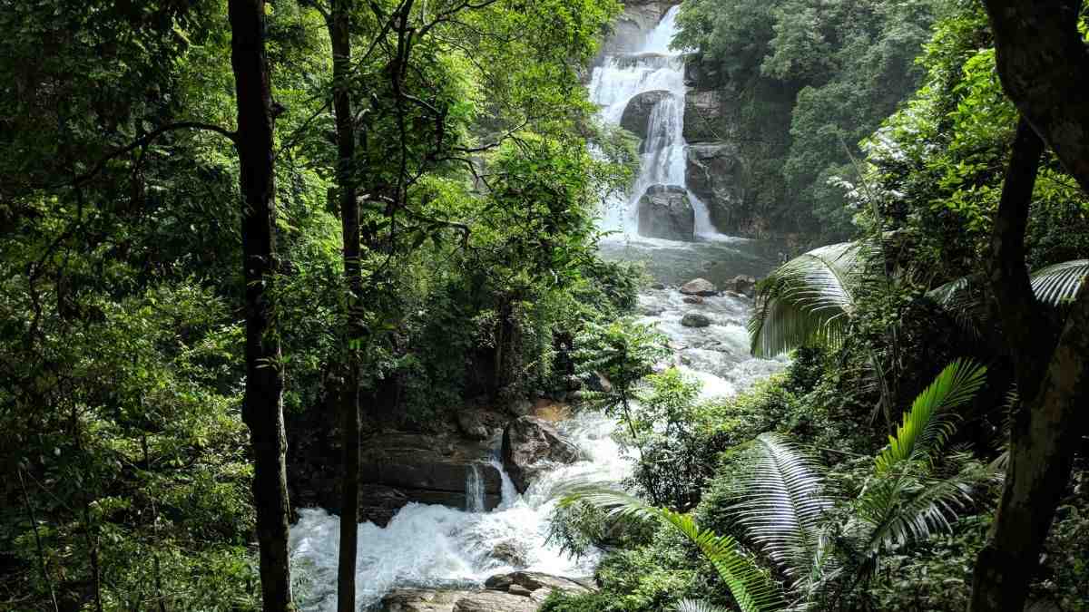 keezharkuthu waterfall idukki