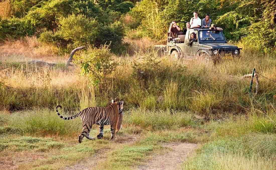 keladevi wildlife sanctuary