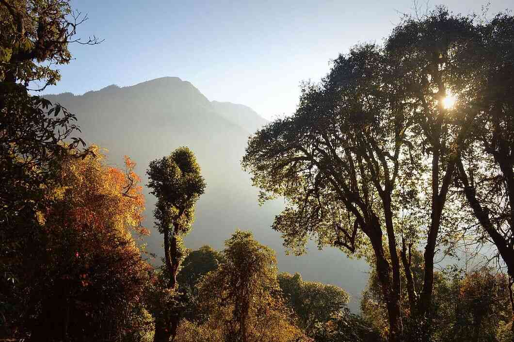 khangchendzonga national park