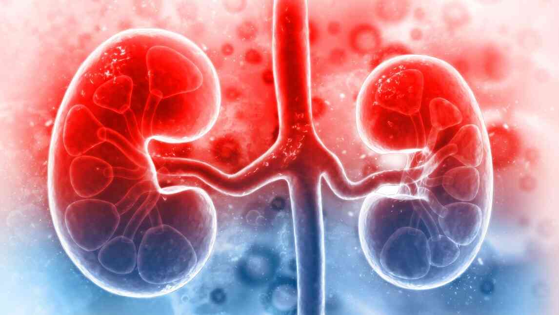 Kidney Diseases List Of Symptoms