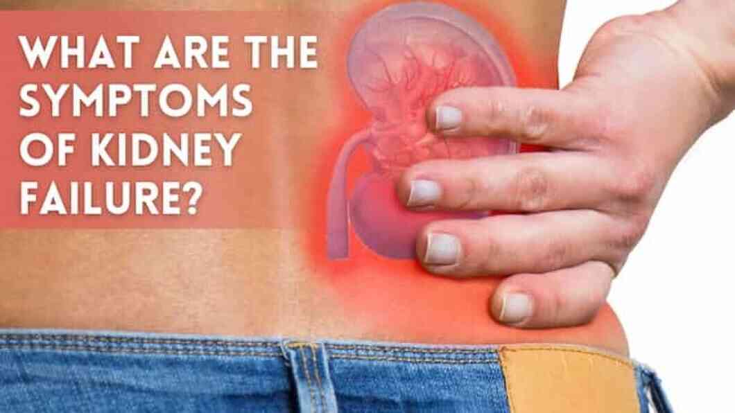 Kidney Function Tests: Purpose, Types, and Procedure