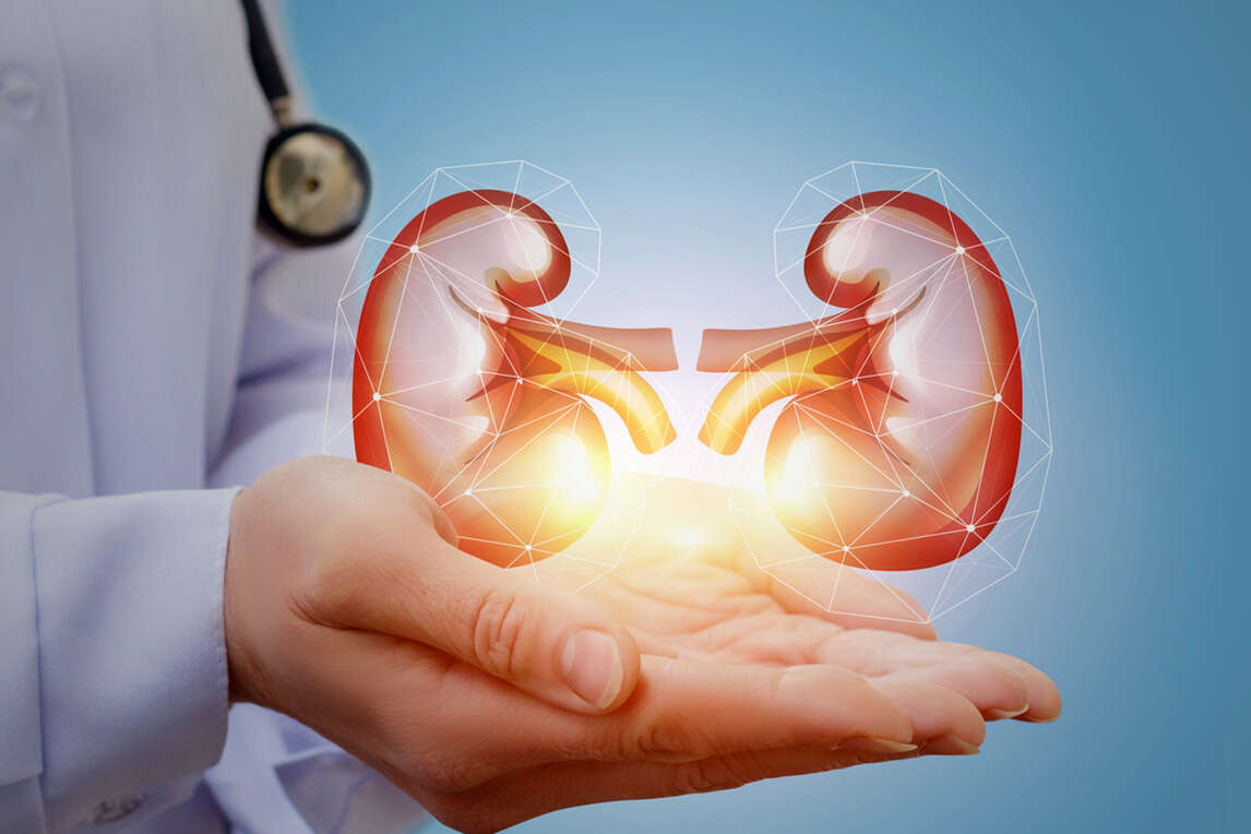 kidney transplant hospitals in bangalore