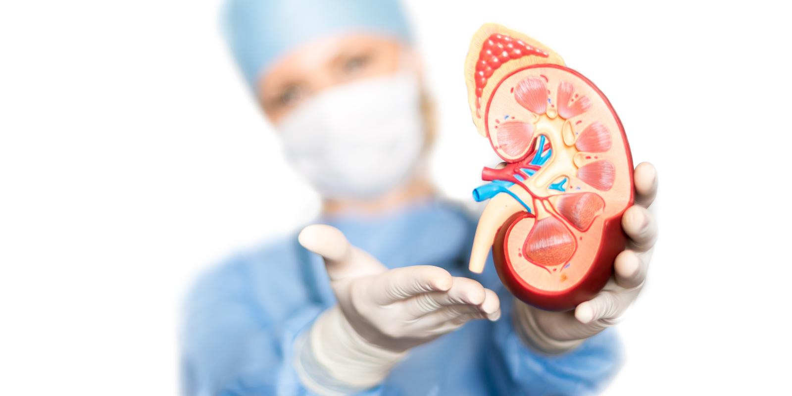 kidney transplant hospitals in kolkata