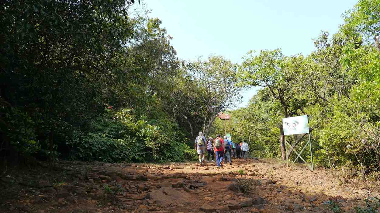 koyna wildlife sanctuary in maharashtra