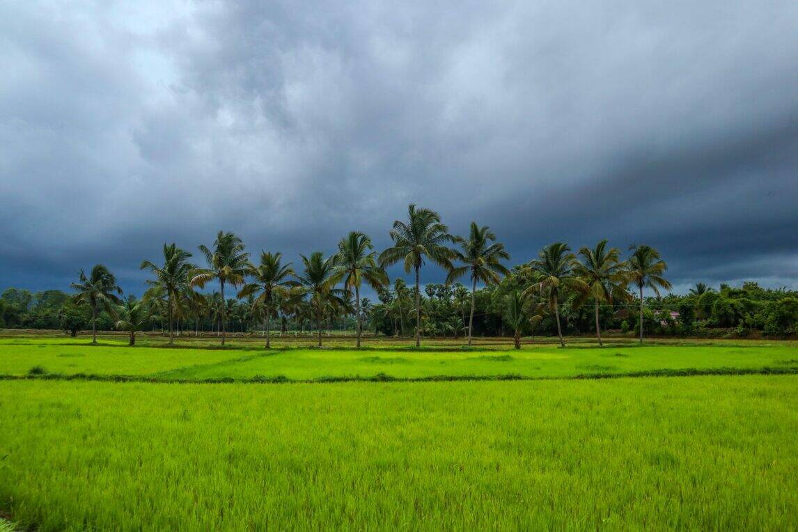 kuttanad oneday