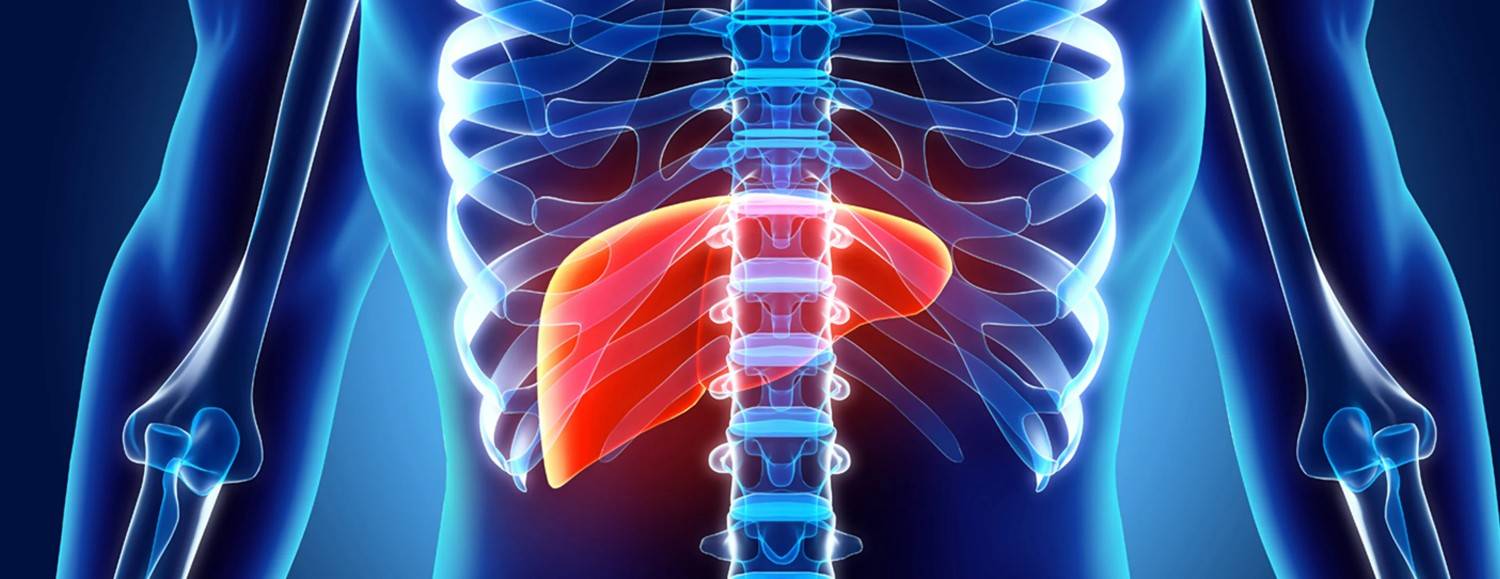 liver transplant hospital in chennai