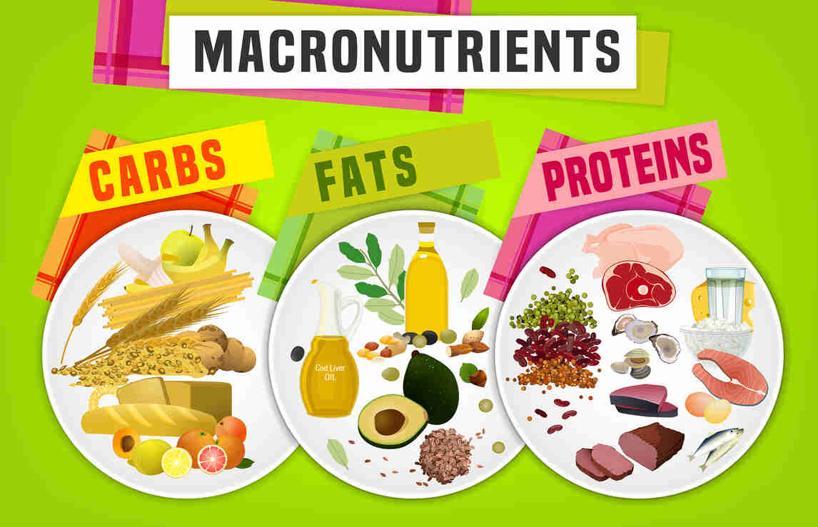 Nutrition and macronutrients