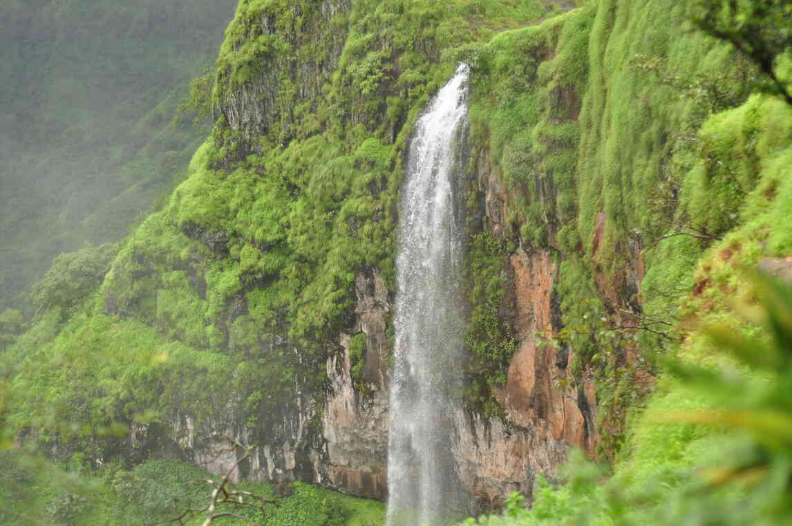 mahabaleshwar jan