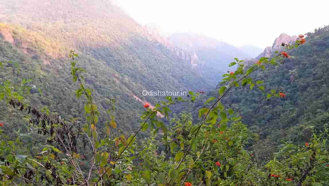 mandasaru valley