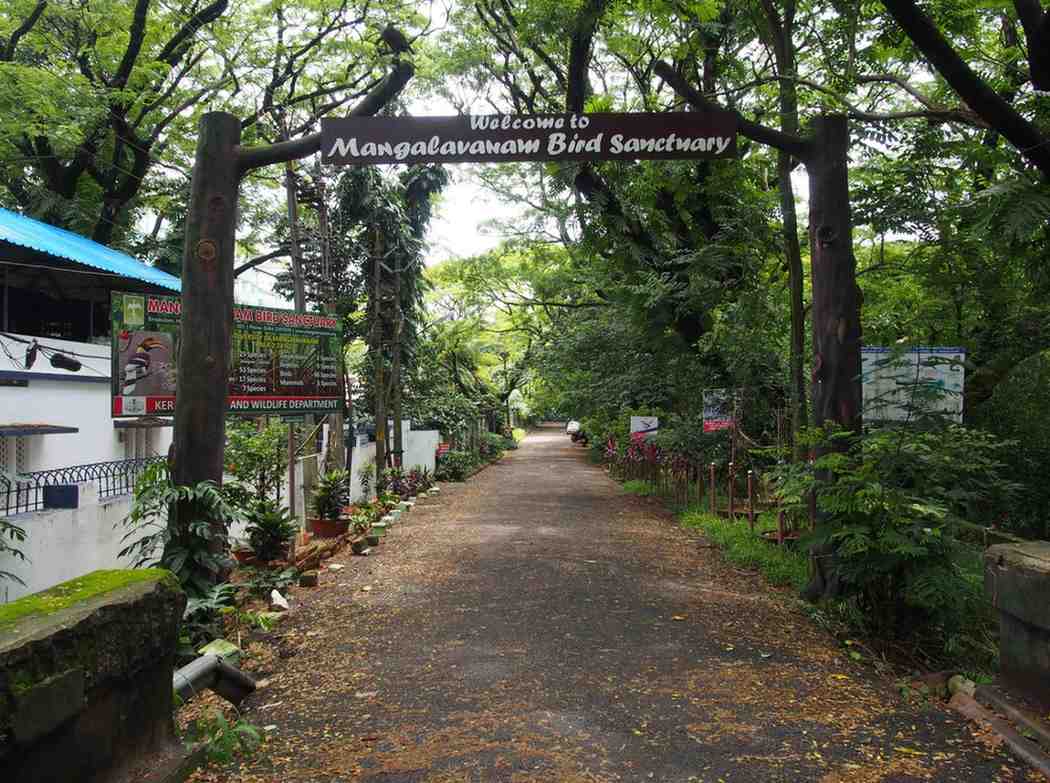 mangalavanam bird sanctuary