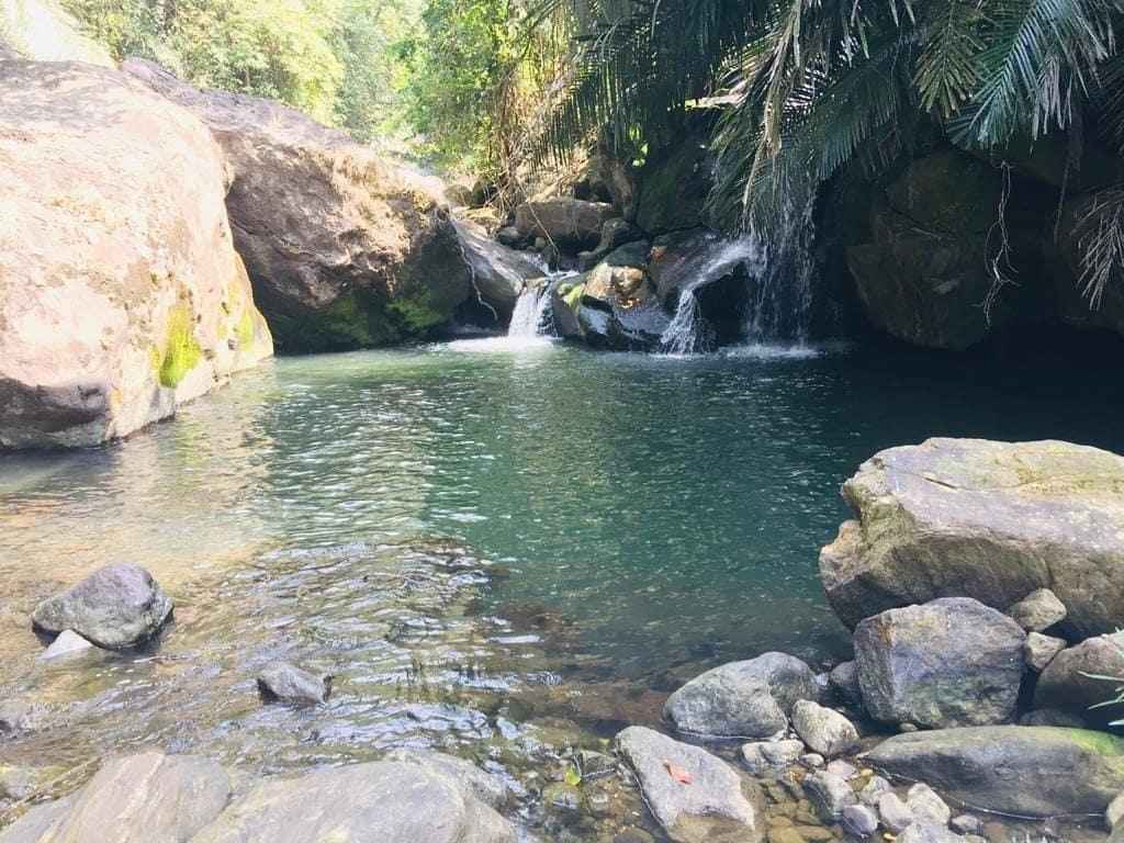 meenvallam waterfall mannarkkad